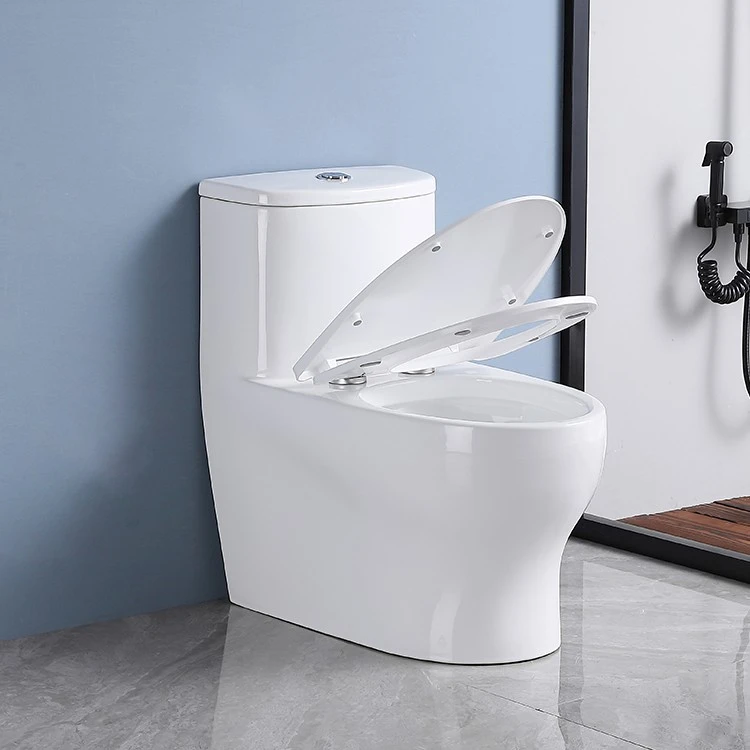 one piece dual flush toilets