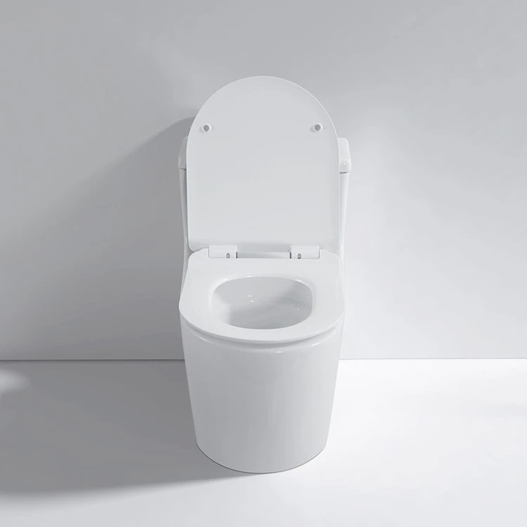 one piece toilet price