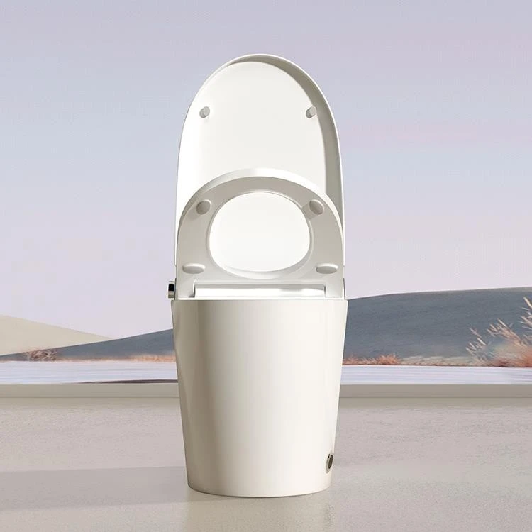 smart home toilet